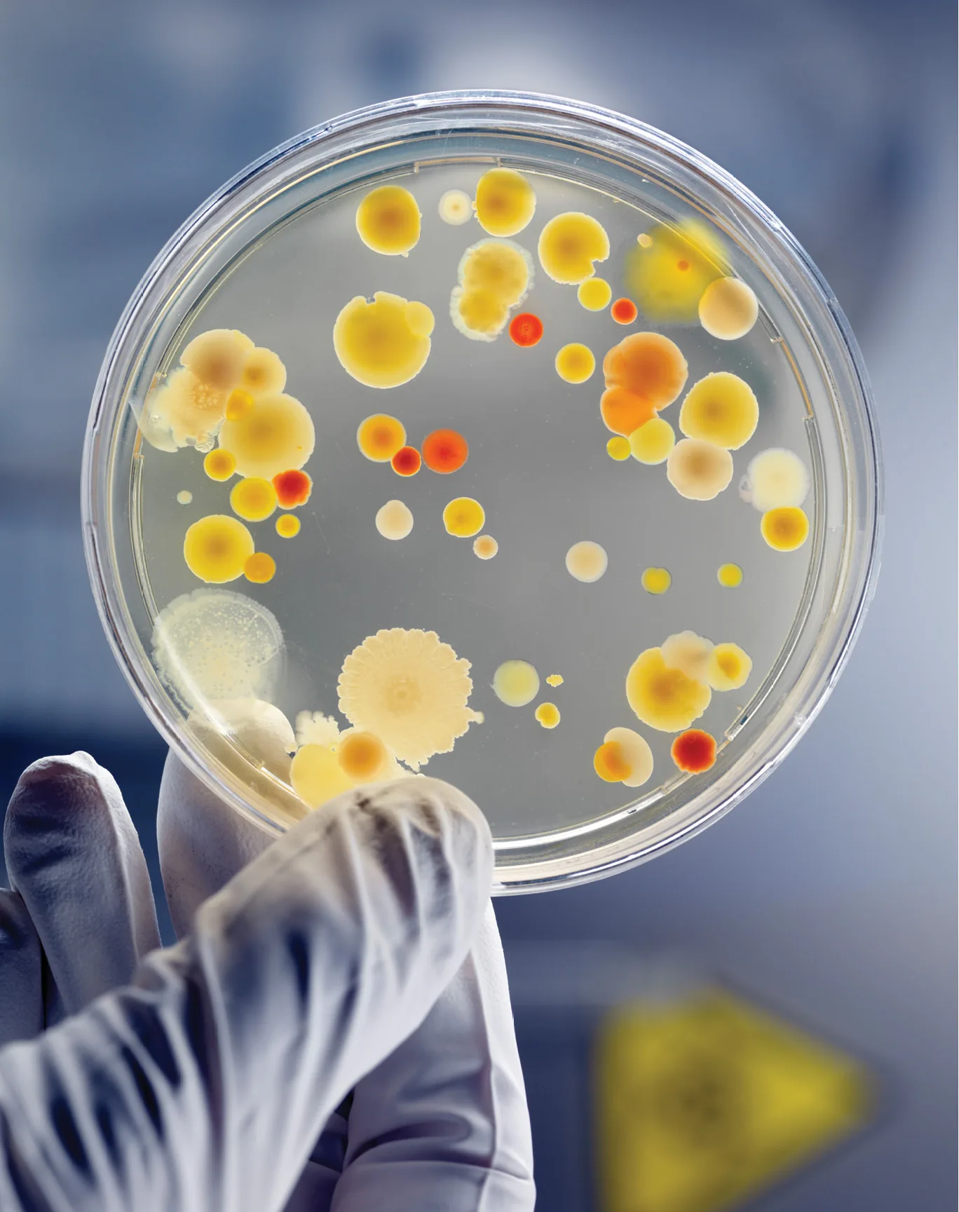 CleanFuture wet wipes liquid formula preservative challenge testing and stability validation